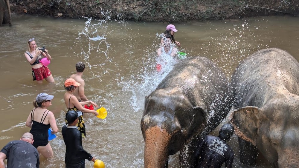 Cambodia Elephant Sanctuary Include Hotel Transfer Roundtrip | ®ExcursionMania