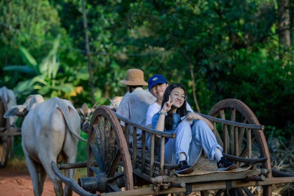 Siem Reap: Hands-on Cambodia Cooking Class and Market Tour | ®ExcursionMania