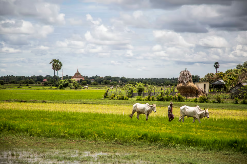 Phnom Penh: Phnom Oudong & Koh Chen Village - Lunch include | ®ExcursionMania