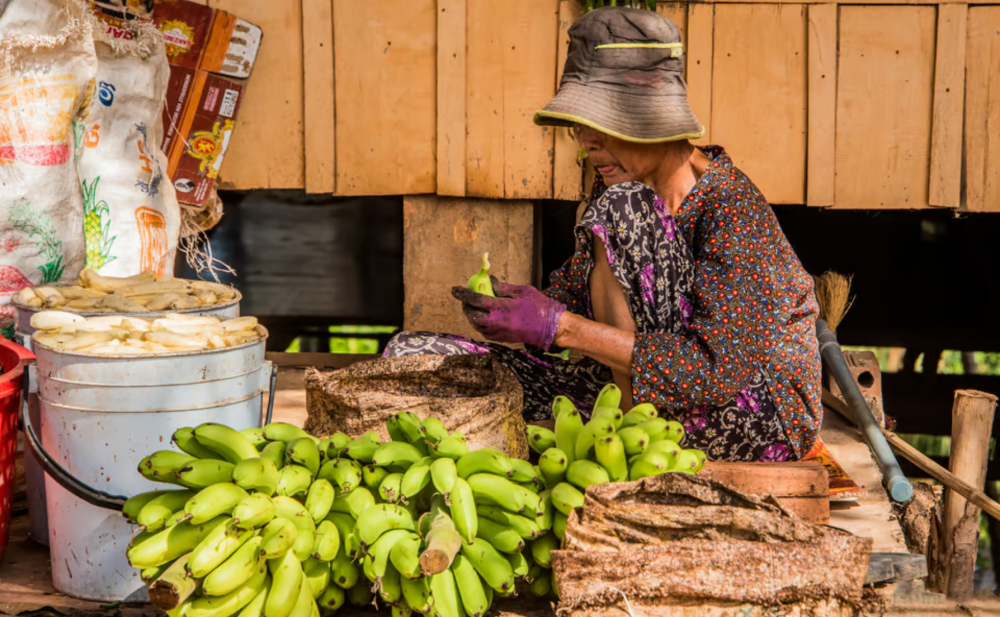 Phnom Penh: Phnom Oudong & Koh Chen Village - Lunch include | ®ExcursionMania