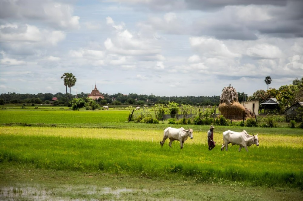 Phnom Penh: Phnom Oudong & Koh Chen Village - Lunch include | ®ExcursionMania