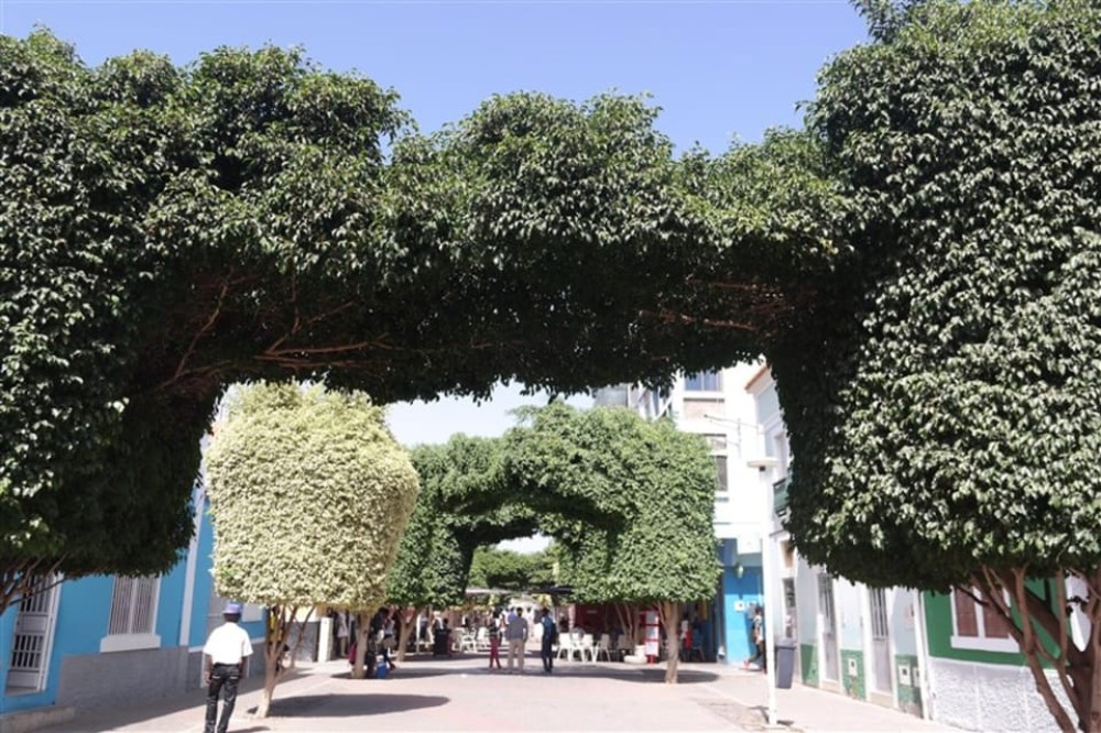 Praia: Guided City Sightseeing Tour | ®ExcursionMania