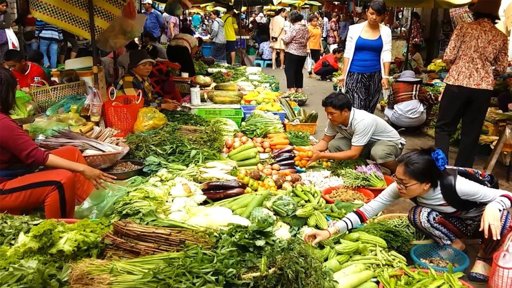 Scenic Phnom Penh to Siem Reap Transfer with Sightseeing | ®ExcursionMania