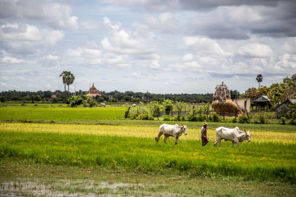 Private Taxi Transfer Siem Reap to Phnom Penh | ®ExcursionMania