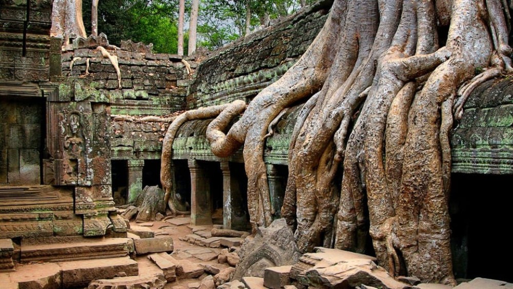 Angkor Region: 3-day Private Tour of Top Temples | ®ExcursionMania