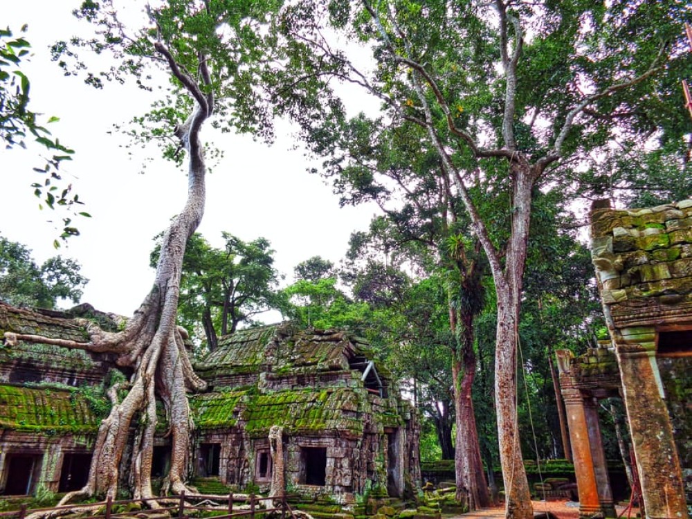 Angkor Region: 3-day Private Tour of Top Temples | ®ExcursionMania
