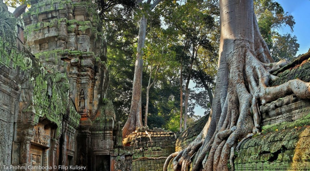 Siem Reap: Angkor Wat: Small-Group Sunrise Tour | ®ExcursionMania