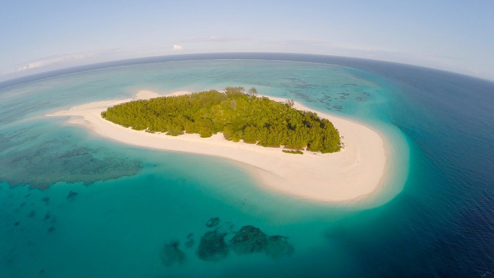 Zanzibar: Mnemba Island, Monkeys & Kuza Cave Private Tour | ®ExcursionMania