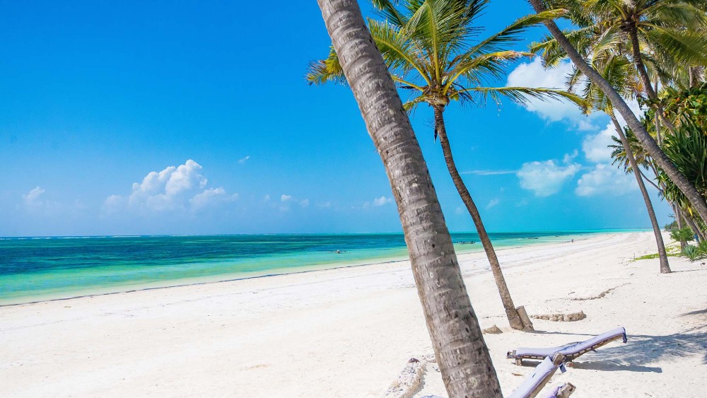 Zanzibar: Mnemba Island, Monkeys & Kuza Cave Private Tour | ®ExcursionMania