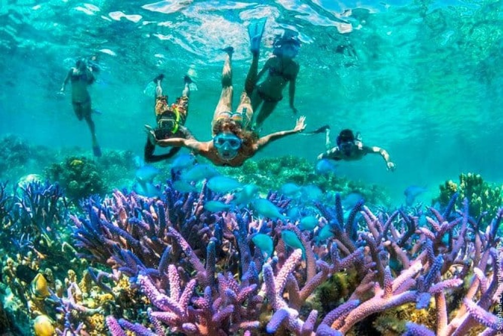 Blue Lagoon, Starfish Tour, The Rock, Paje Beach, Kuza Cave | ®ExcursionMania