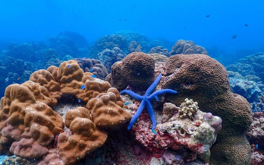 From Phuket: Surin Islands Snorkeling Day Trip with Lunch | ®ExcursionMania