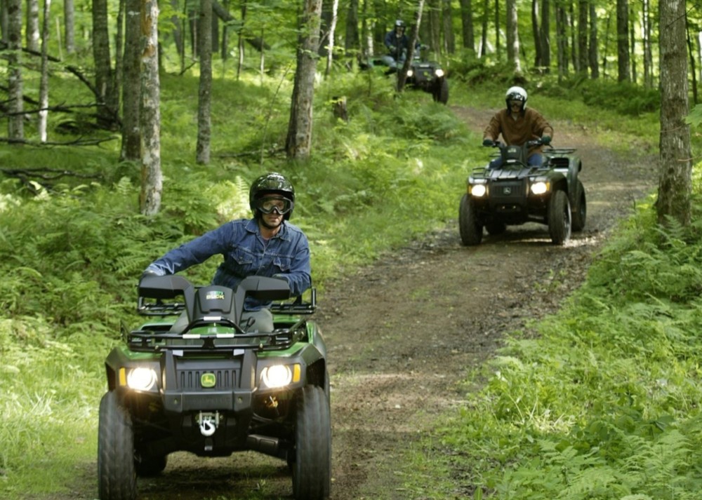 Istanbul: Quad Safari Adventure in Belgrad Forest | ®ExcursionMania