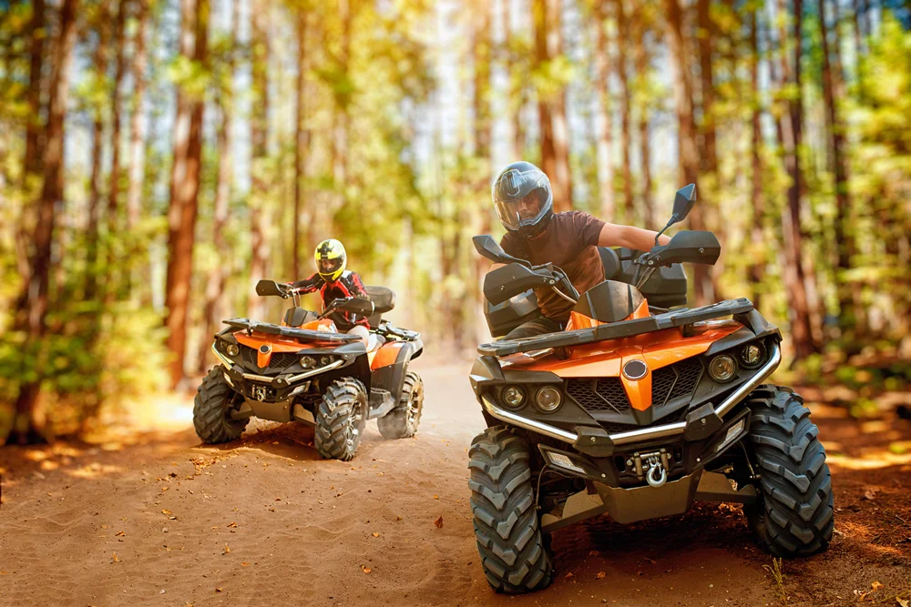 Istanbul: Quad Safari Adventure in Belgrad Forest | ®ExcursionMania