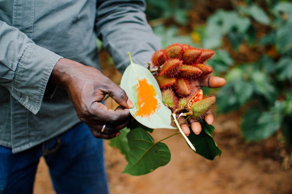 Private tour: Spice farms, Prison Islands And Stone town | ®ExcursionMania