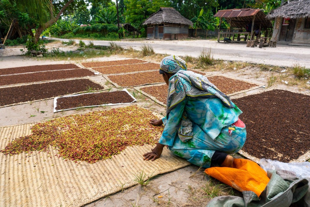Private tour: Spice farms, Prison Islands And Stone town | ®ExcursionMania