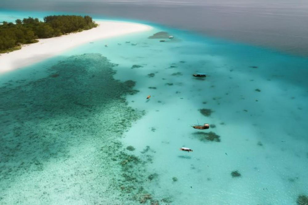 From Zanzibar: Mnemba Boat Tour with Snorkeling & Dolphine | ®ExcursionMania