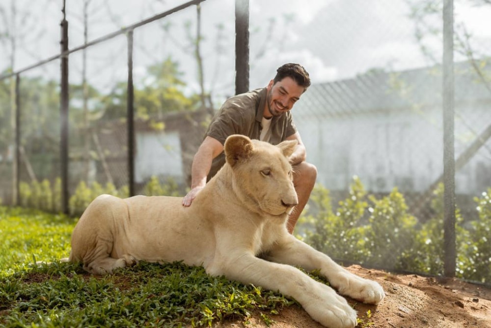 Phuket: Full-Day Tour with Phuket town, Temple, ATV and Tiger | ®ExcursionMania
