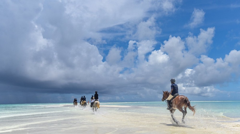 Zanzibar: Beach Horseback Ride and Swim with the Horse | ®ExcursionMania