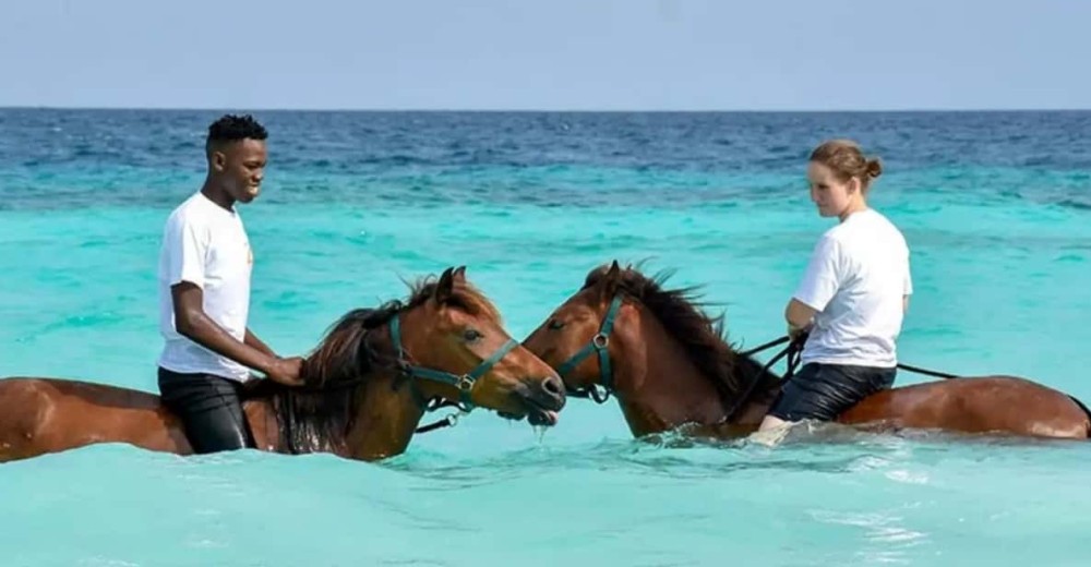 Zanzibar: Beach Horseback Ride and Swim with the Horse | ®ExcursionMania