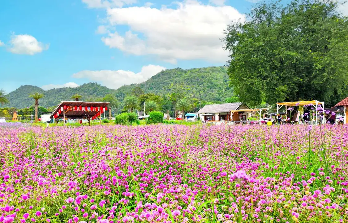 Bangkok: Private Khao Yai Day Tour | ®ExcursionMania
