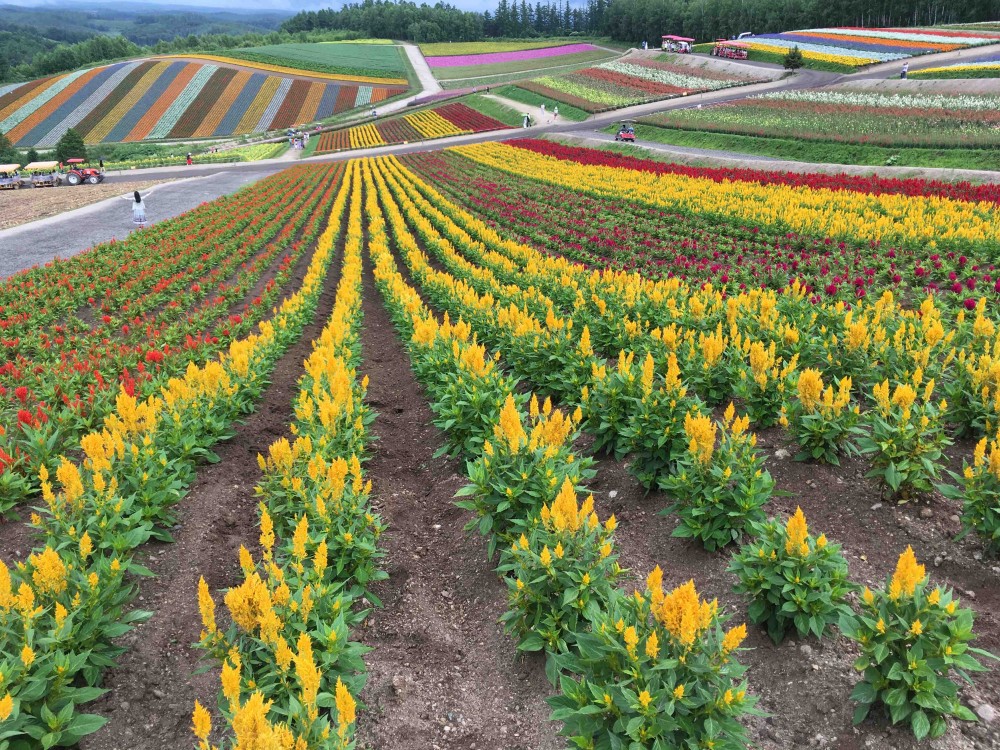 Bangkok: Private Khao Yai Day Tour | ®ExcursionMania