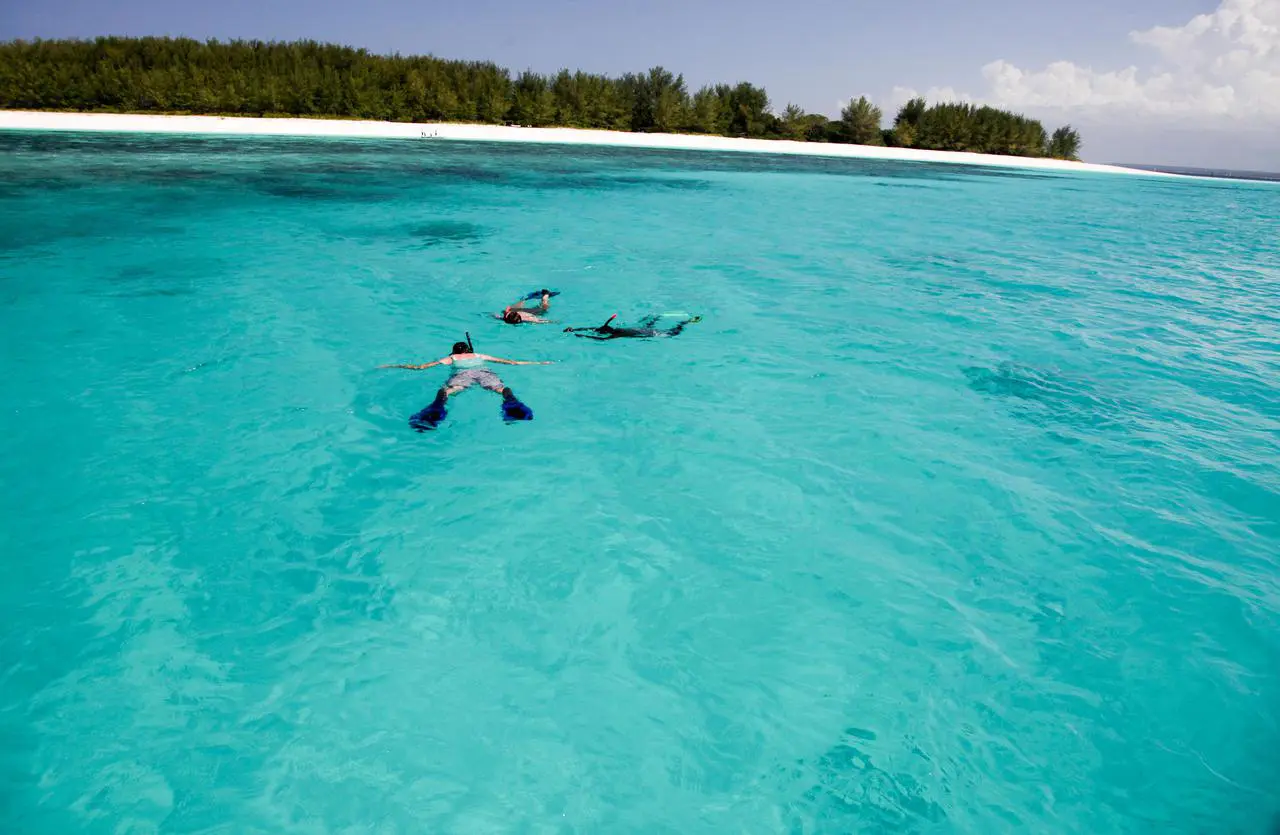 From Kendwa: Mnemba Atoll and Dolphin Snorkel Full Day Trip | ®ExcursionMania