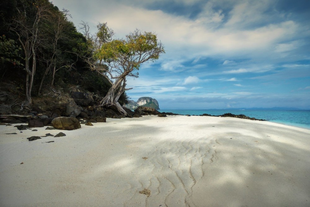 Phuket: Phi Phi, Maya, Khai or Maiton or Bamboo Island Tour | ®ExcursionMania