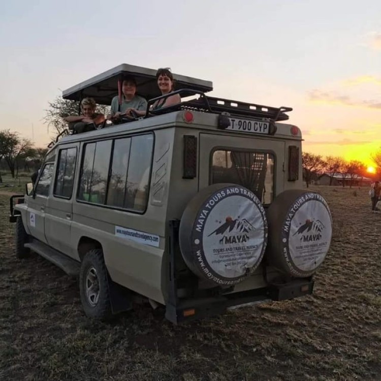 Day Trip Safari From Zanzibar to Mikumi Using Ferry and SGR | ®ExcursionMania