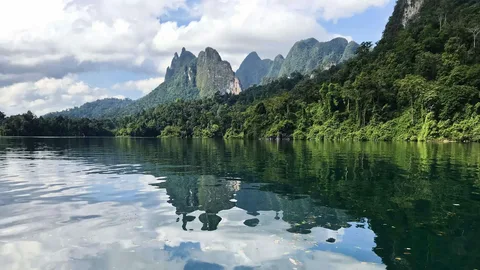 Phuket: Khao Sok and Cheow Lan Lake Tour with Lunch | ®ExcursionMania