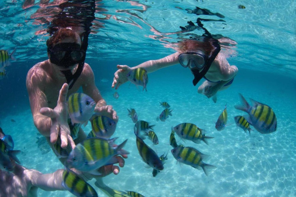 Phuket: 3 Khai Islands Snorkeling Tour | ®ExcursionMania