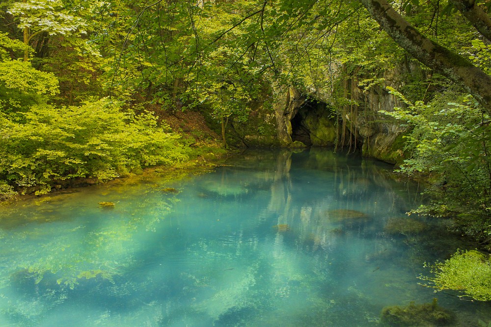 Eastern Serbia Full Day Trip: Manasija,Resava,Lisine,Krupaja | ®ExcursionMania