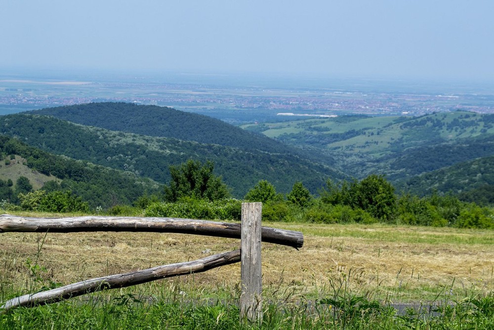 From Belgrade: Novi Sad & Fruska gora & winery and monastery | ®ExcursionMania