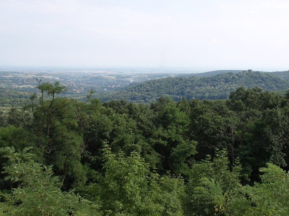 From Belgrade: Novi Sad & Fruska gora & winery and monastery | ®ExcursionMania