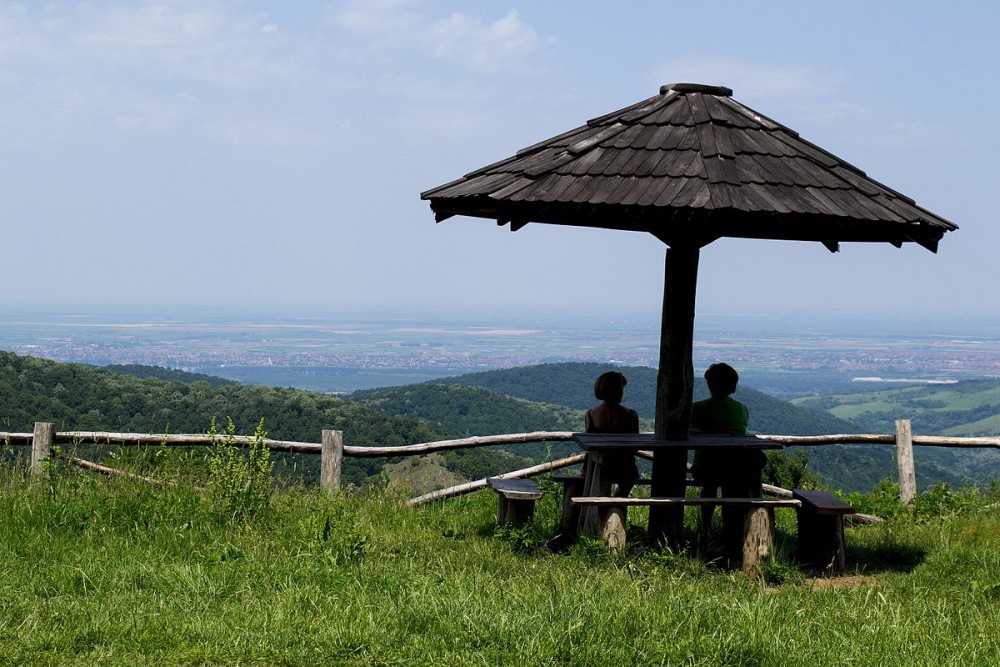From Belgrade: Novi Sad & Fruska gora & winery and monastery | ®ExcursionMania