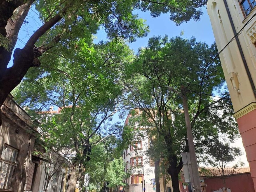 Belgrade: Jewish walking tour | ®ExcursionMania