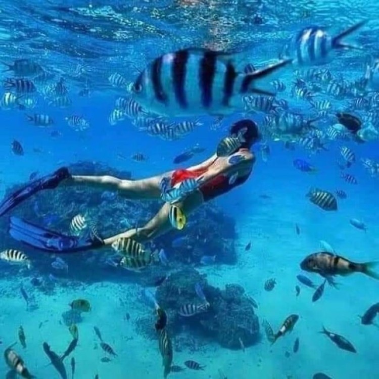Kuza Cave, Starfish, Blue Lagoon, The Rock, Jozani Forest | ®ExcursionMania