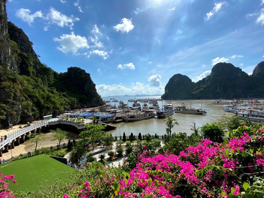 Halong Join-in 4 Hours Cruising Cave visit, Kayak and Seafood Lunch | ®ExcursionMania