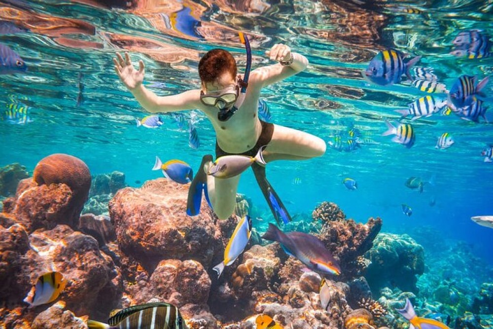 Bali Blue Lagoon Snorkeling with Private Transfer & Lunch | ®ExcursionMania
