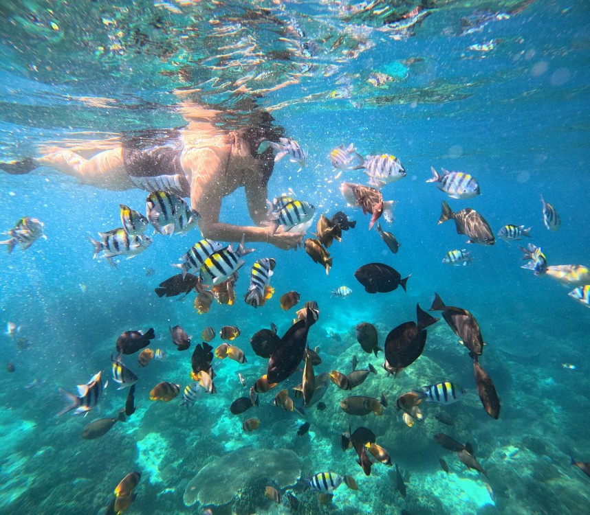 Bali Blue Lagoon Snorkeling with Private Transfer & Lunch | ®ExcursionMania
