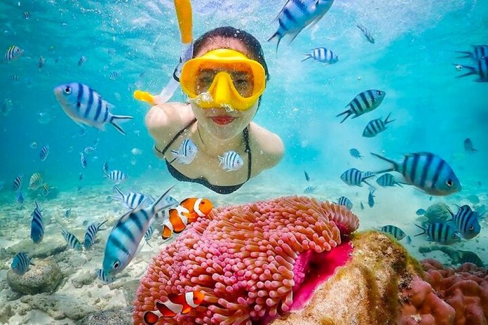 Bali Blue Lagoon Snorkeling with Private Transfer & Lunch | ®ExcursionMania
