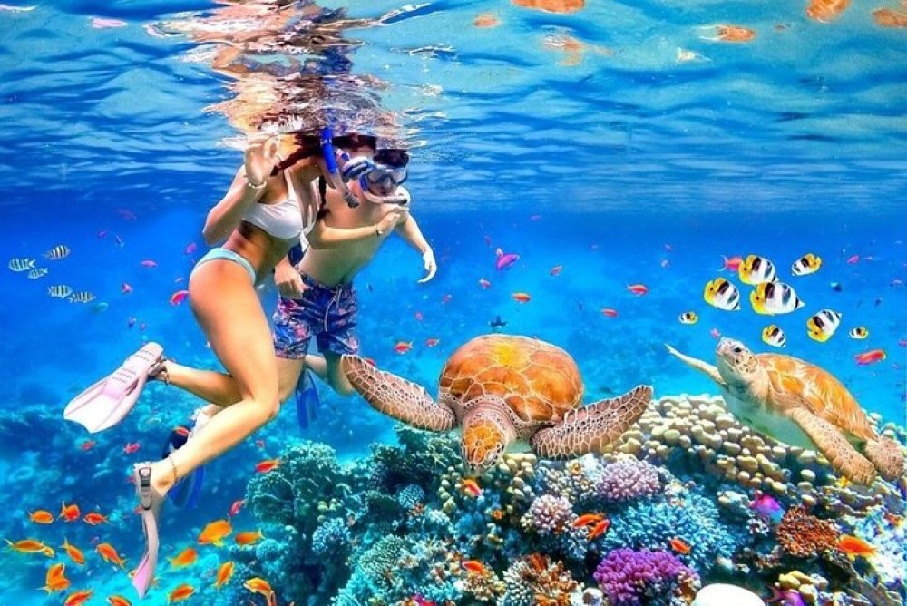 Bali Blue Lagoon Snorkeling with Private Transfer & Lunch | ®ExcursionMania