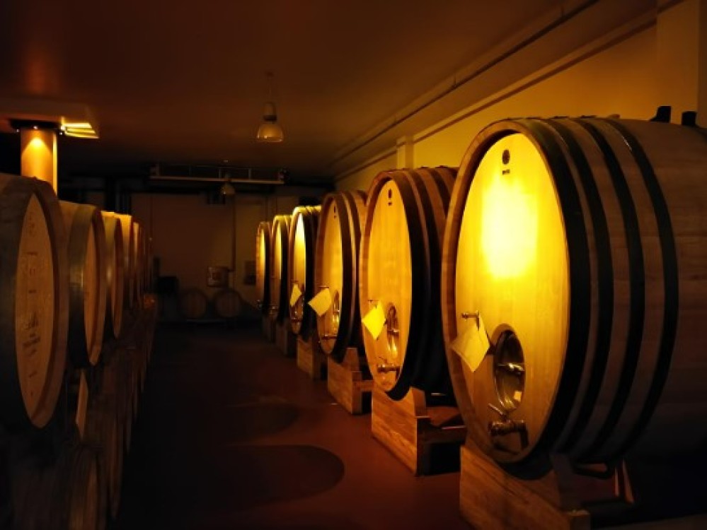 From Belgrade: Subotica and Palic Full-Day Trip with winery | ®ExcursionMania
