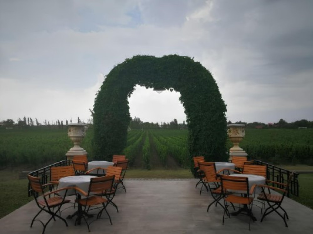 From Belgrade: Subotica and Palic Full-Day Trip with winery | ®ExcursionMania