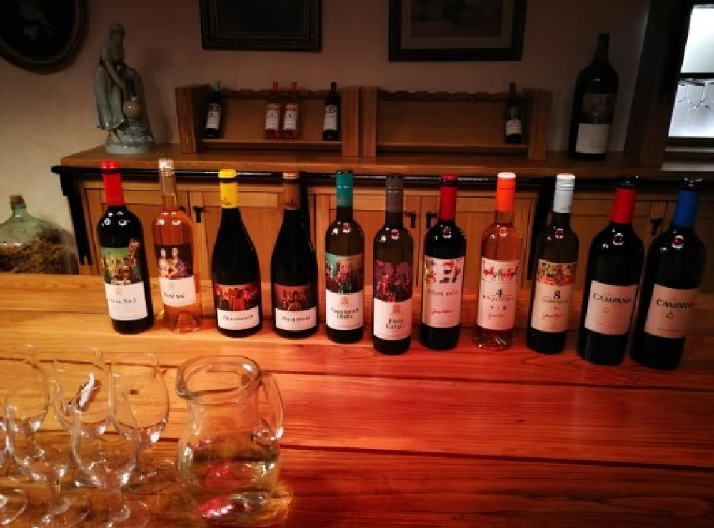 From Belgrade: Subotica and Palic Full-Day Trip with winery | ®ExcursionMania