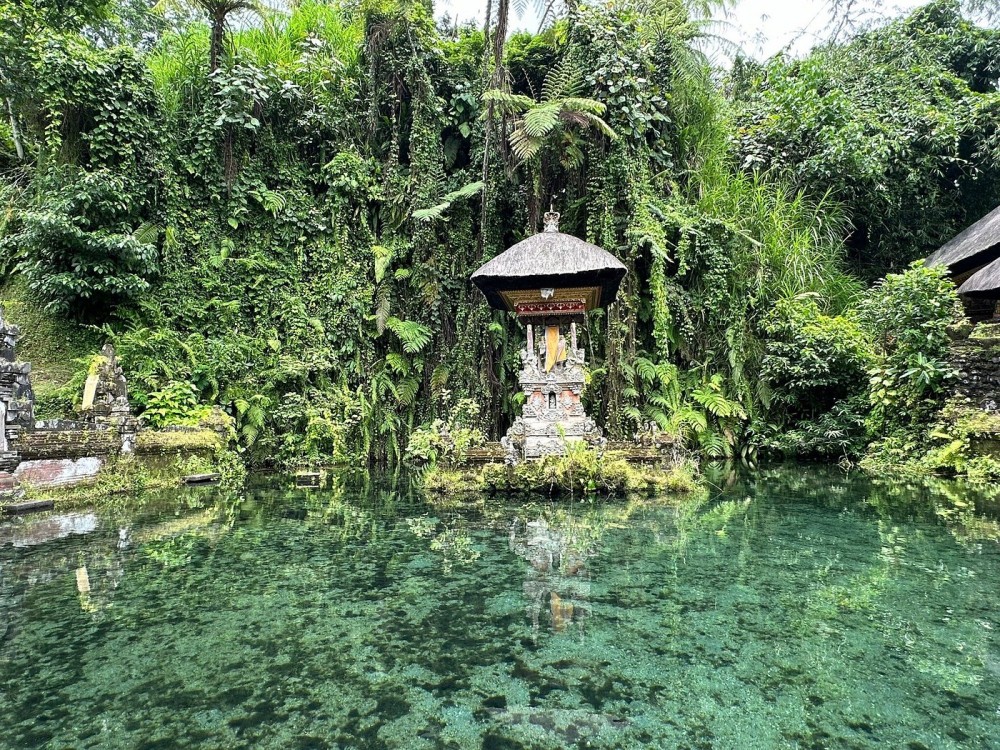 Ubud - All Inclusive Private Day Tour | ®ExcursionMania