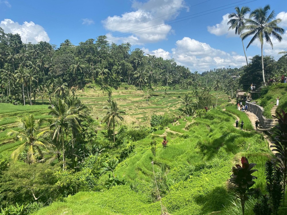 Ubud - All Inclusive Private Day Tour | ®ExcursionMania