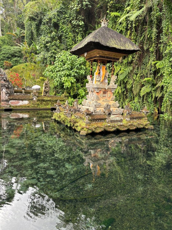 Ubud - All Inclusive Private Day Tour | ®ExcursionMania