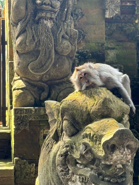 Ubud - All Inclusive Private Day Tour | ®ExcursionMania