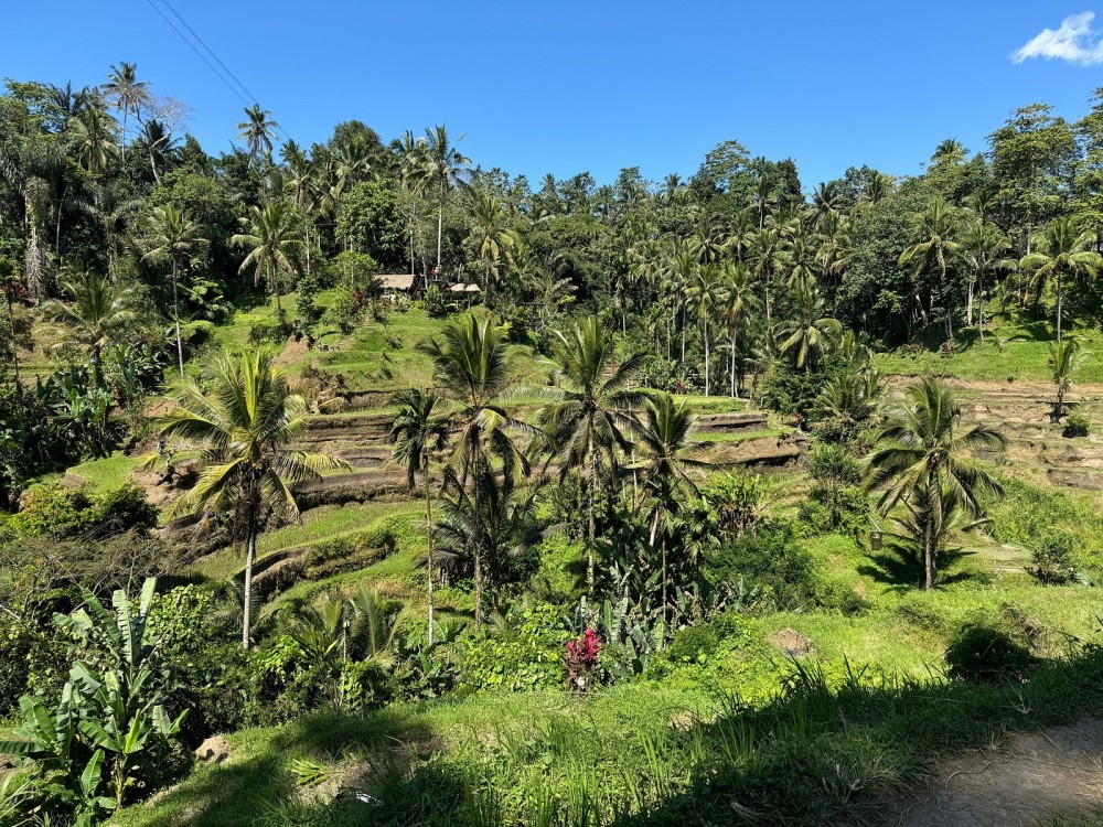 Ubud - All Inclusive Private Day Tour | ®ExcursionMania