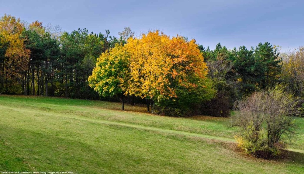 Belgrade: Kosutnjak forest hiking tour | ®ExcursionMania